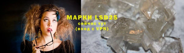 шишки Белоозёрский
