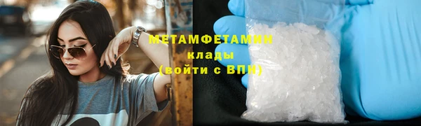 шишки Белоозёрский