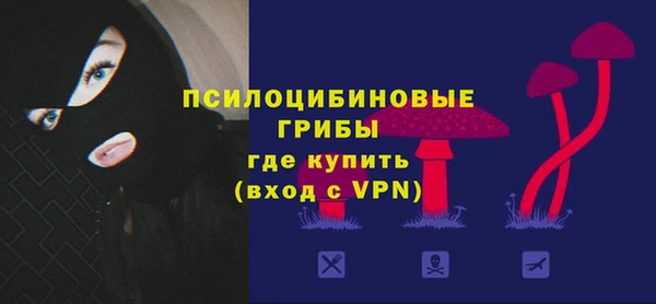 шишки Белоозёрский