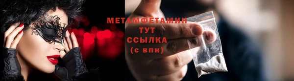 шишки Белоозёрский