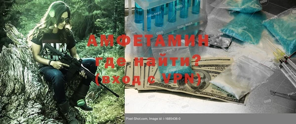 шишки Белоозёрский