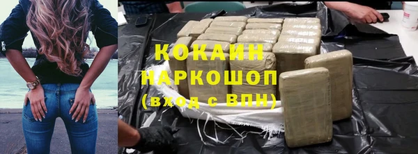шишки Белоозёрский
