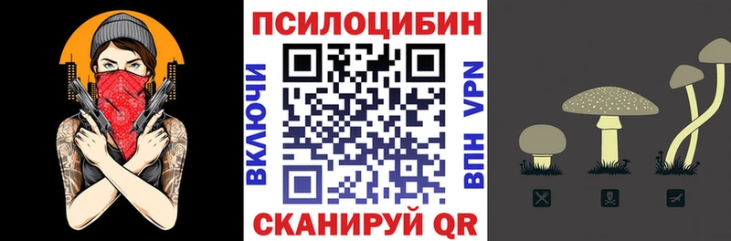 Псилоцибиновые грибы Cubensis  магазин продажи наркотиков  Михайлов 